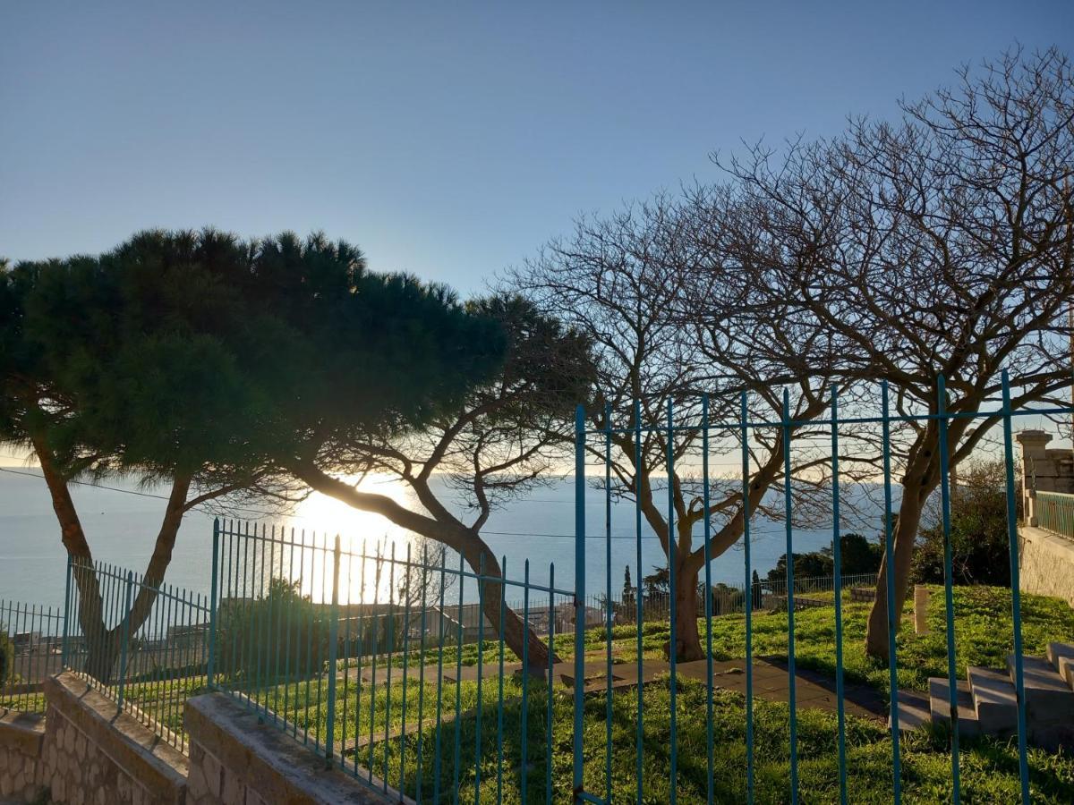 D'hote - Vue Au Mont Saint-clair